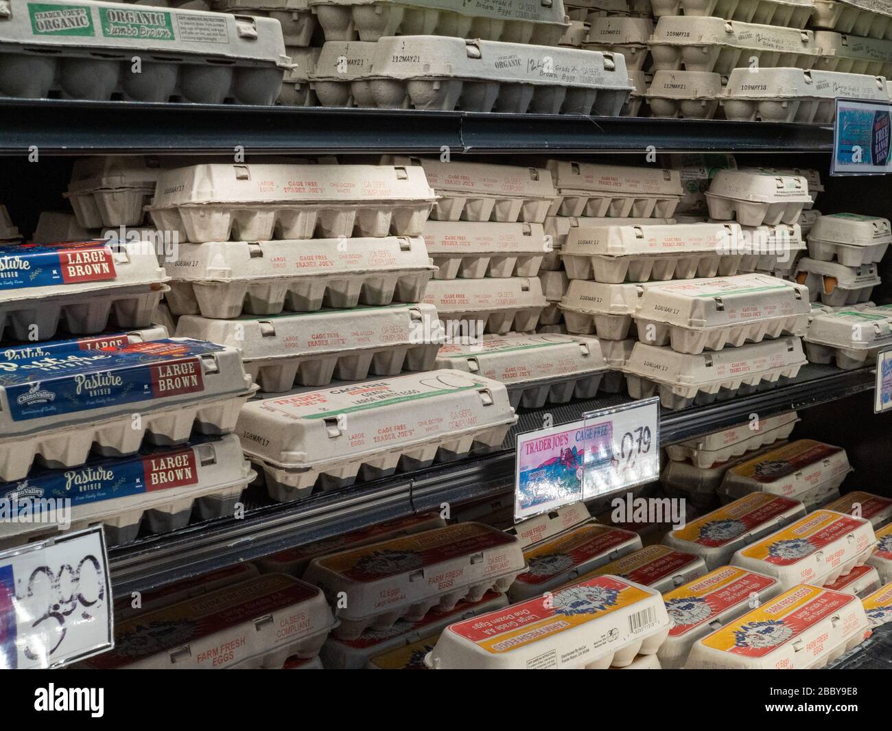 Les œufs du Trader Joe dans la section réfrigérée de l'épicerie Banque D'Images