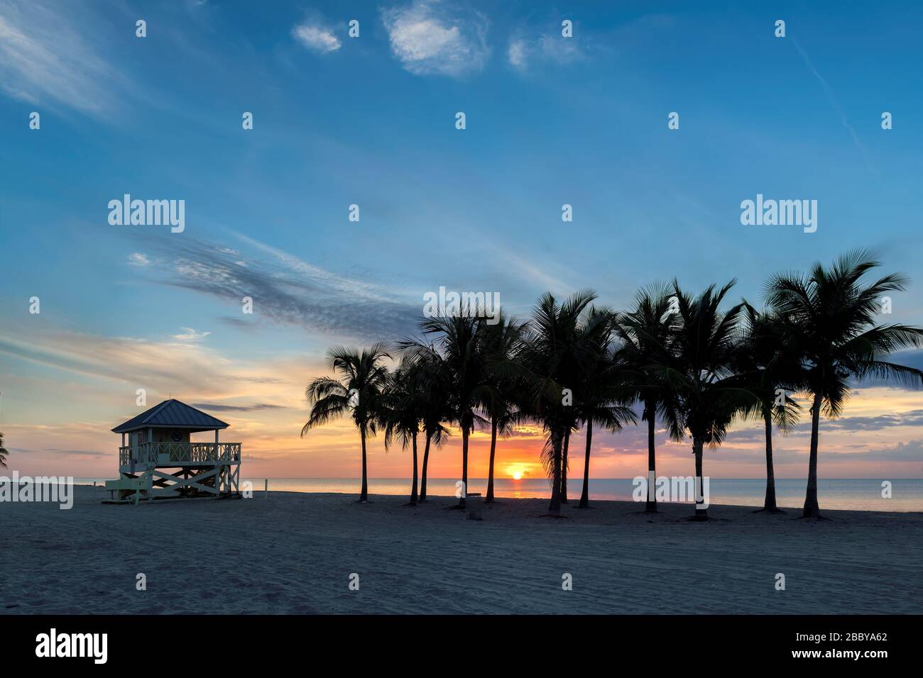 Palmiers au lever du soleil à Miami Beach, Floride. Banque D'Images