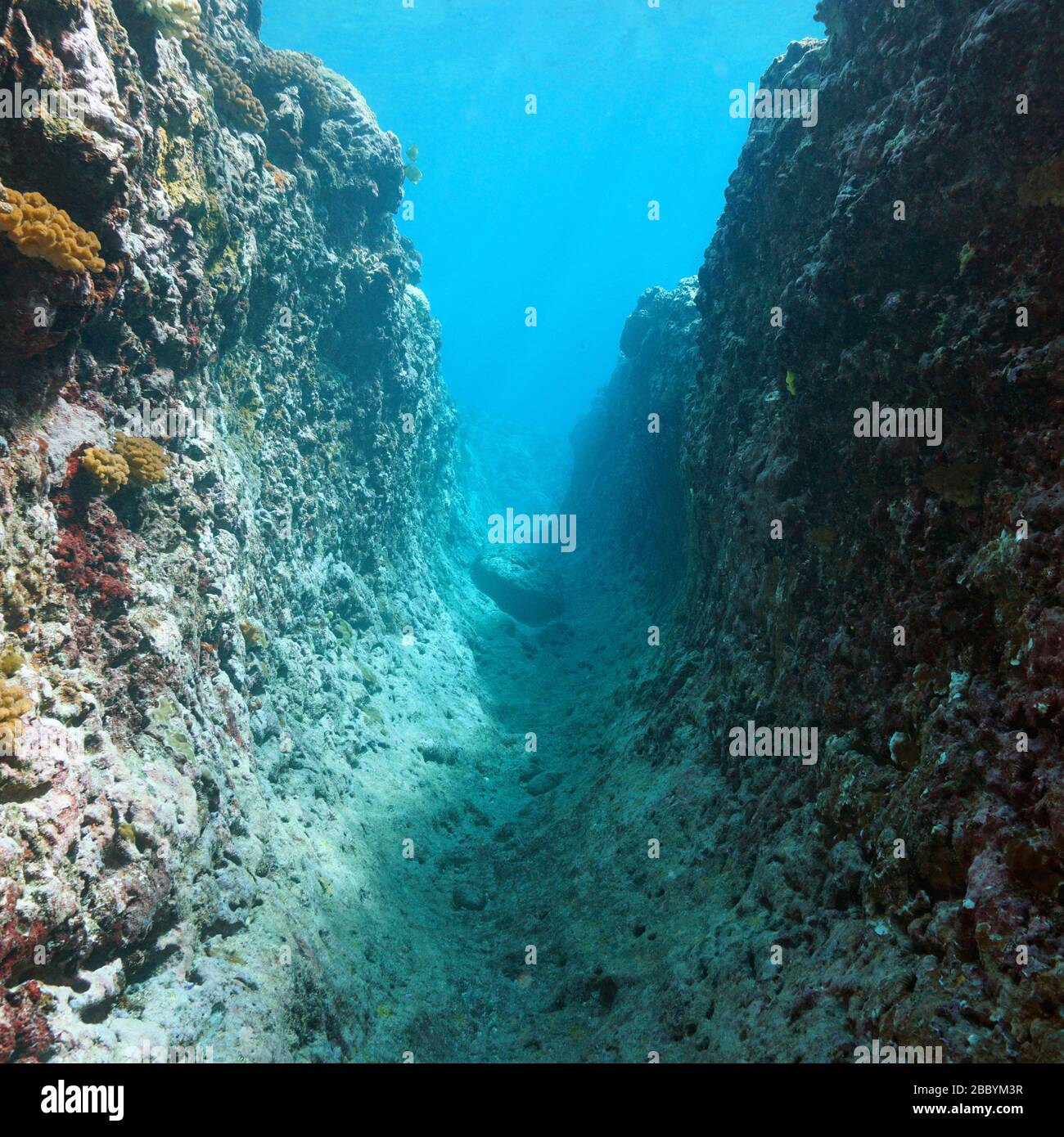 Sous l'eau un passage étroit dans un récif rocheux, océan Pacifique, Polynésie française, Océanie Banque D'Images
