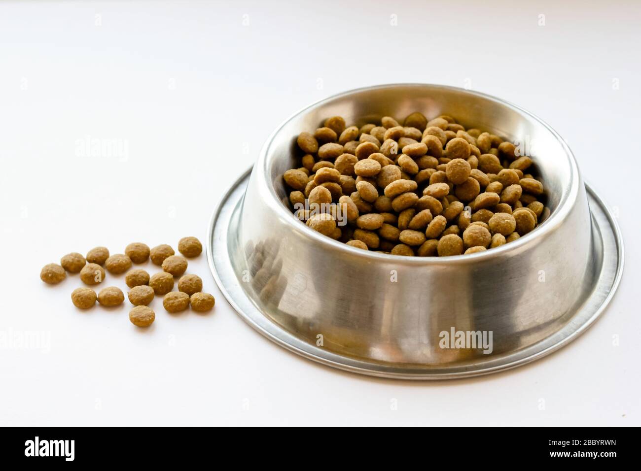 Les chats et les chiens sèchent la nourriture dans un bol en métal sur fond blanc Banque D'Images