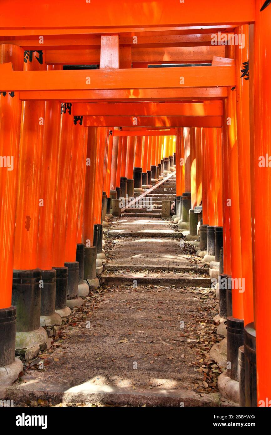 Fushimi Inari Taisha tori gates - vue du Japon. Banque D'Images