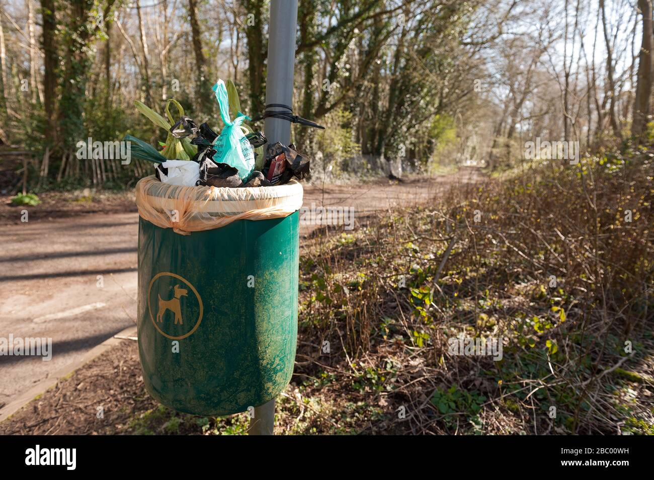 Mélange de sacs en plastique biodégradables et normaux pour le croo-dog débordant sur le sentier de la voie de la campagne au bout de la voie de la poubelle désignée pour le poo-dog Banque D'Images