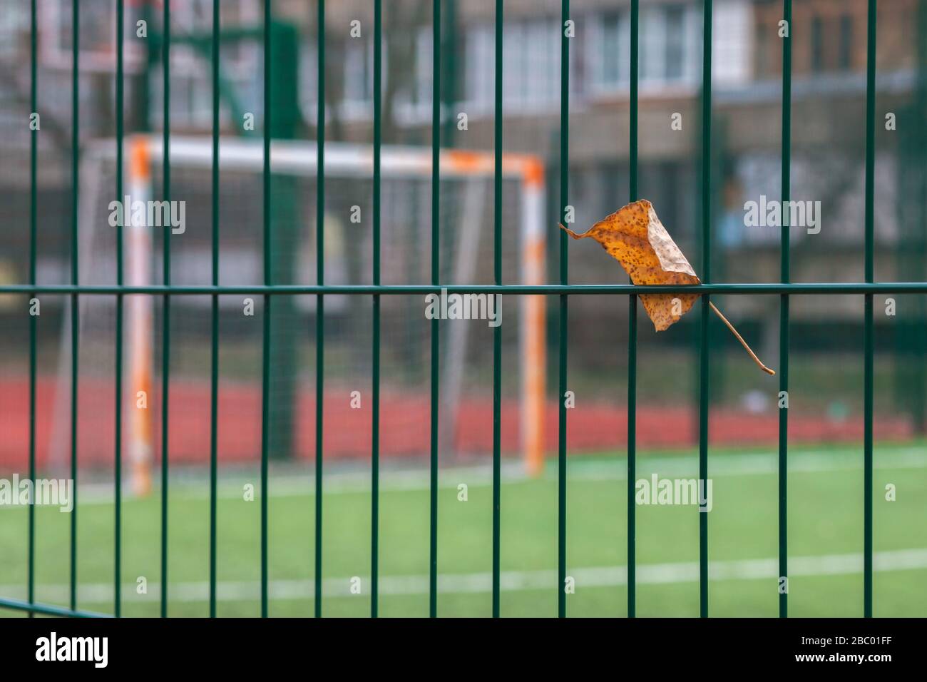 Feuille d'automne coincée dans la clôture sur fond d'un terrain de sport. Arrière-plan en flou. Banque D'Images