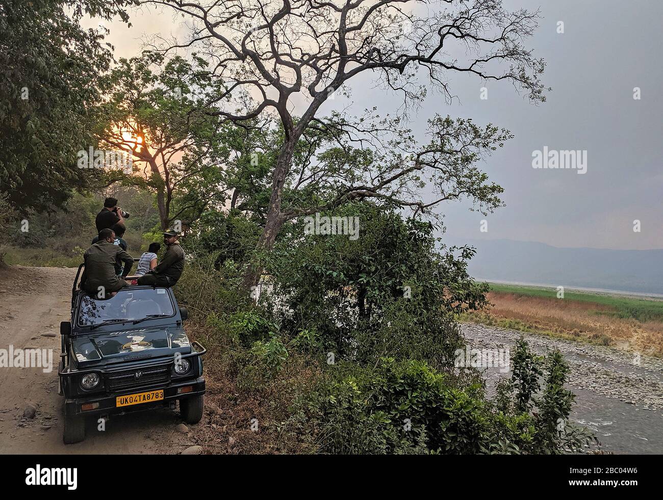 Safari sur la route de sambar au parc national de Jim Corbett, Uttarakhand, Inde Banque D'Images