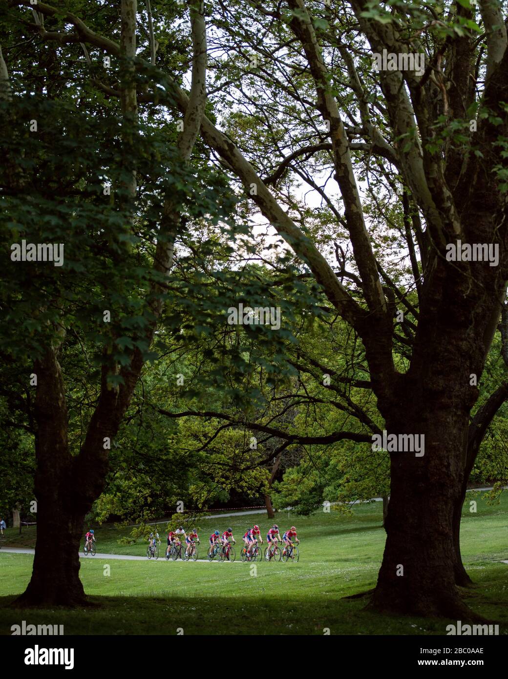 Une vue à travers les arbres tandis que les cyclistes participent à une course Critérium au Crystal Palace Park. Banque D'Images
