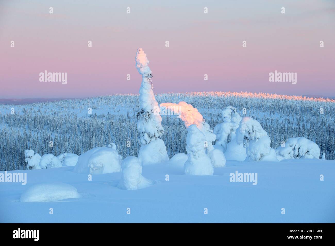 Lever du soleil dans le parc national de Riisitunturi, Laponie, Finlande Banque D'Images