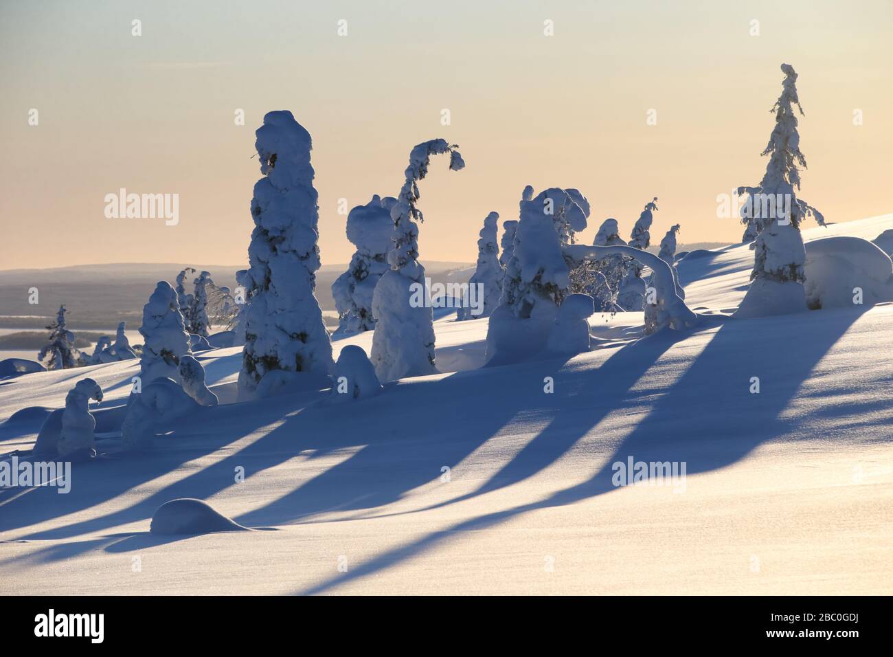 Lever du soleil dans le parc national de Riisitunturi, Laponie, Finlande Banque D'Images