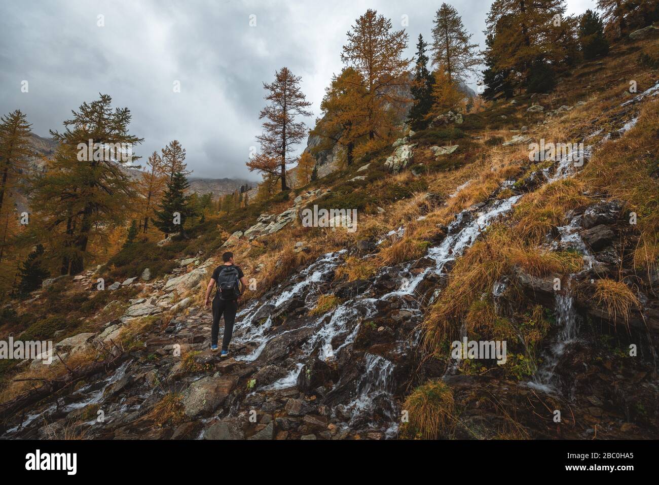 RANDONNEUR TRAVERSANT UN RUISSEAU, COULEURS D'AUTOMNE, PARC NATIONAL DU MERCANTOUR, SAINT-MARTIN-VESUBIE, PROVENCE-ALPES-CÔTE-D'AZUR, (06) ALPES-MARITIMES, FRANCE Banque D'Images