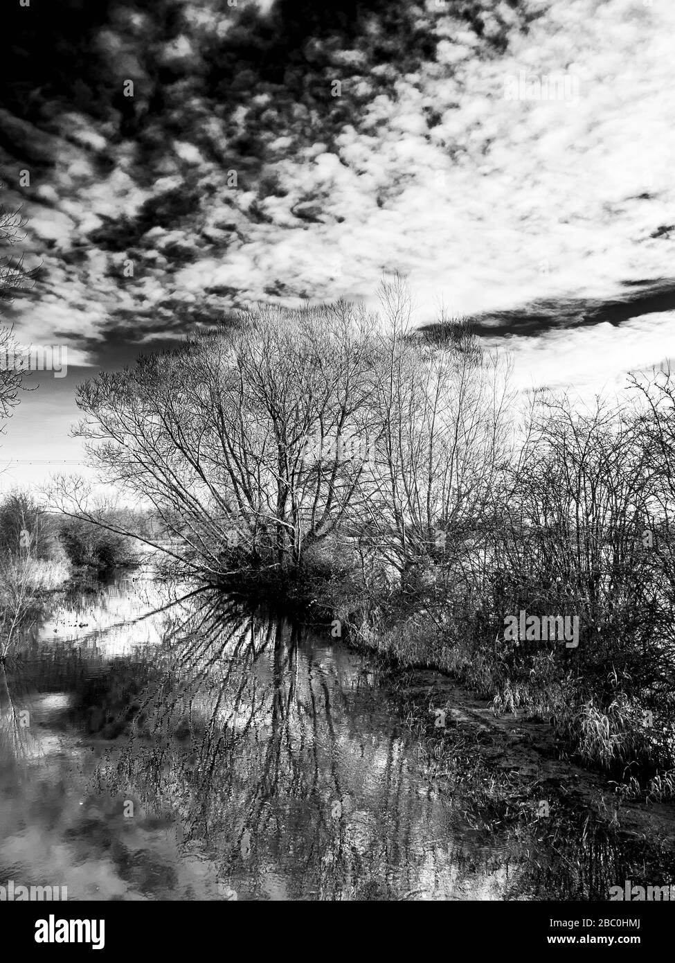 Les hautes eaux inondées de la Tamise en hiver entre Lechlade et Ashton Keynes dans les Cotswolds, au Royaume-Uni Banque D'Images