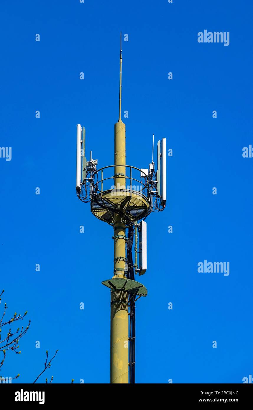 Mât de téléphone mobile camouflé dans les bois et les montagnes, Ariège, Pyrénées françaises, France Banque D'Images
