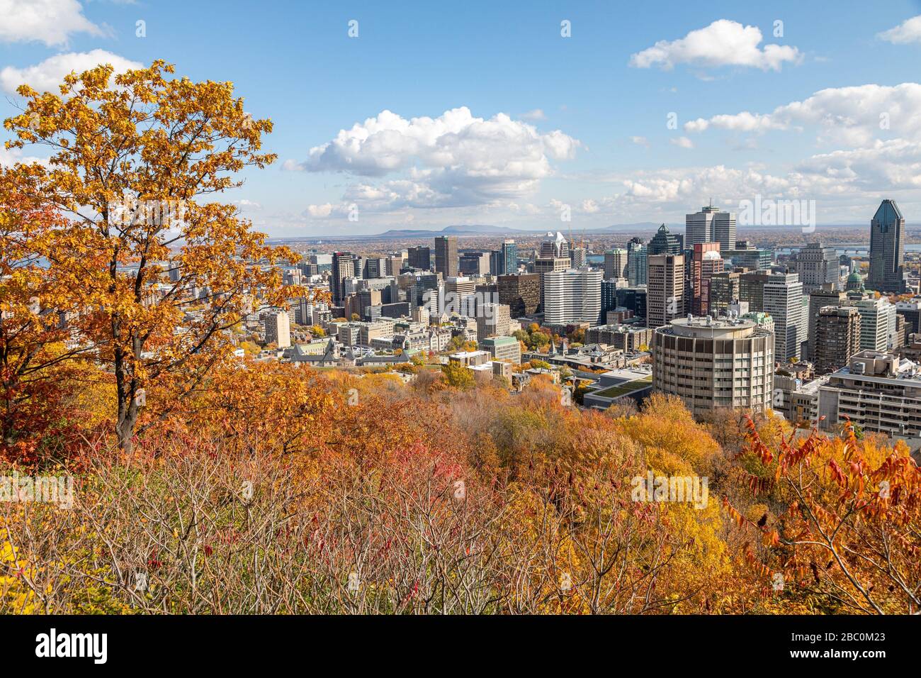COULEURS D'AUTOMNE DANS LE PARC MONT-ROYAL ET VUE SUR LE QUARTIER DES AFFAIRES DE LA VILLE DE MONTRÉAL, QUÉBEC, CANADA Banque D'Images