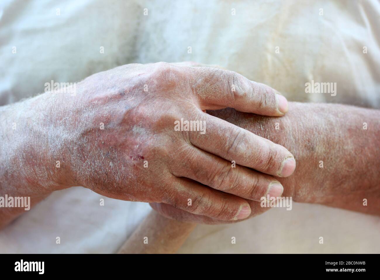 canne en bois dans les mains mâles adultes Banque D'Images