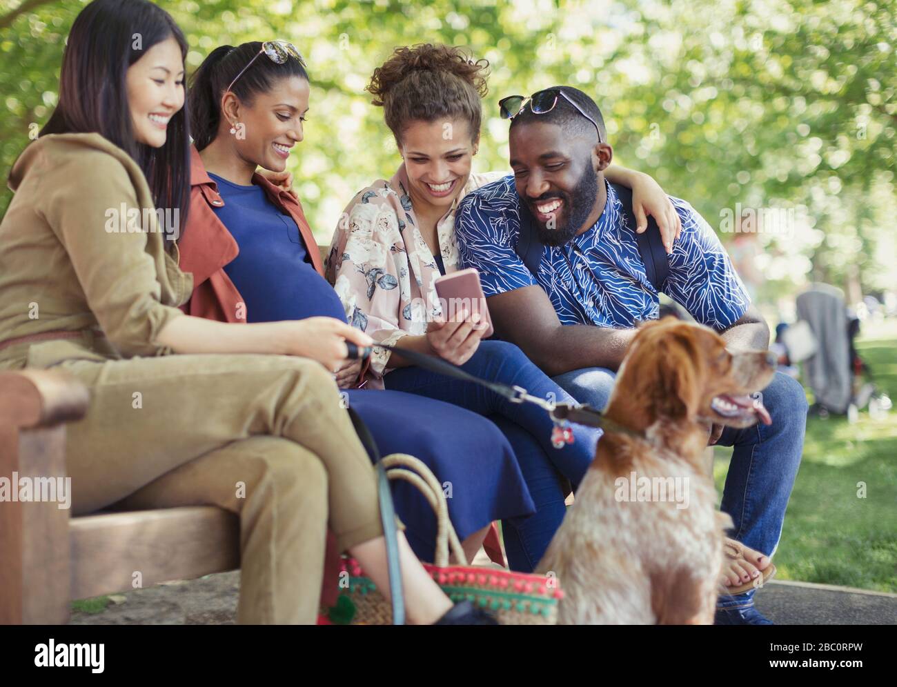 Sourire des amis avec un chien en utilisant un smartphone dans le parc Banque D'Images