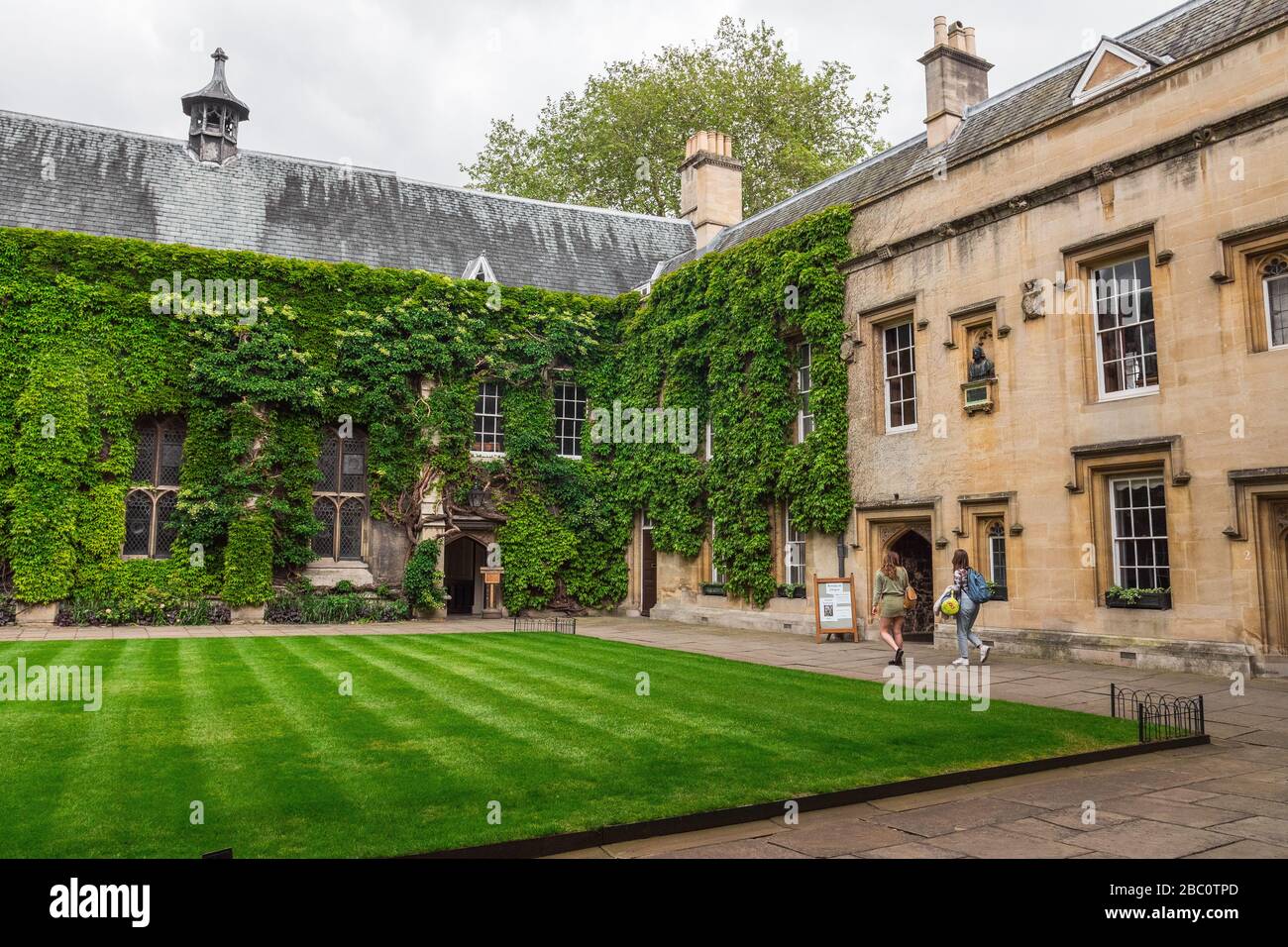 Lincoln College, Oxford, Angleterre, Royaume-Uni. Juillet 2019. Le Collège de la bienheureuse Marie et de tous les Saints, Université d'Oxford. Plantes grimpantes Banque D'Images Lincoln College, Oxford, Angleterre, Royaume-Uni. Juillet 2019. Le Collège de la bienheureuse Marie et de tous les Saints, Université d'Oxford. Plantes grimpantes Banque D'Images