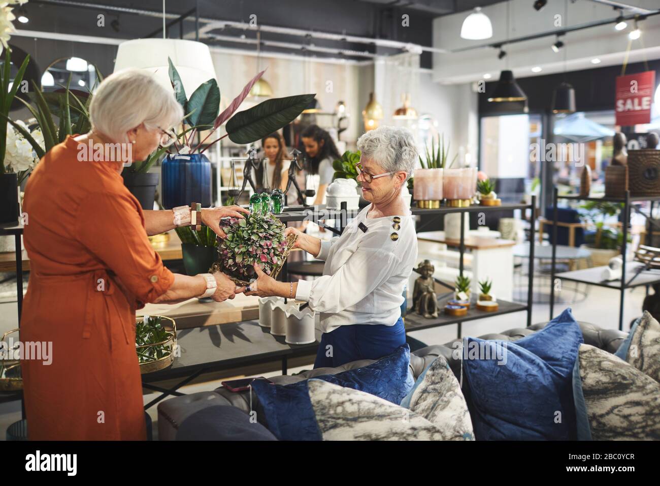 Les femmes les plus âgées font du shopping dans un magasin de décoration à la maison Banque D'Images
