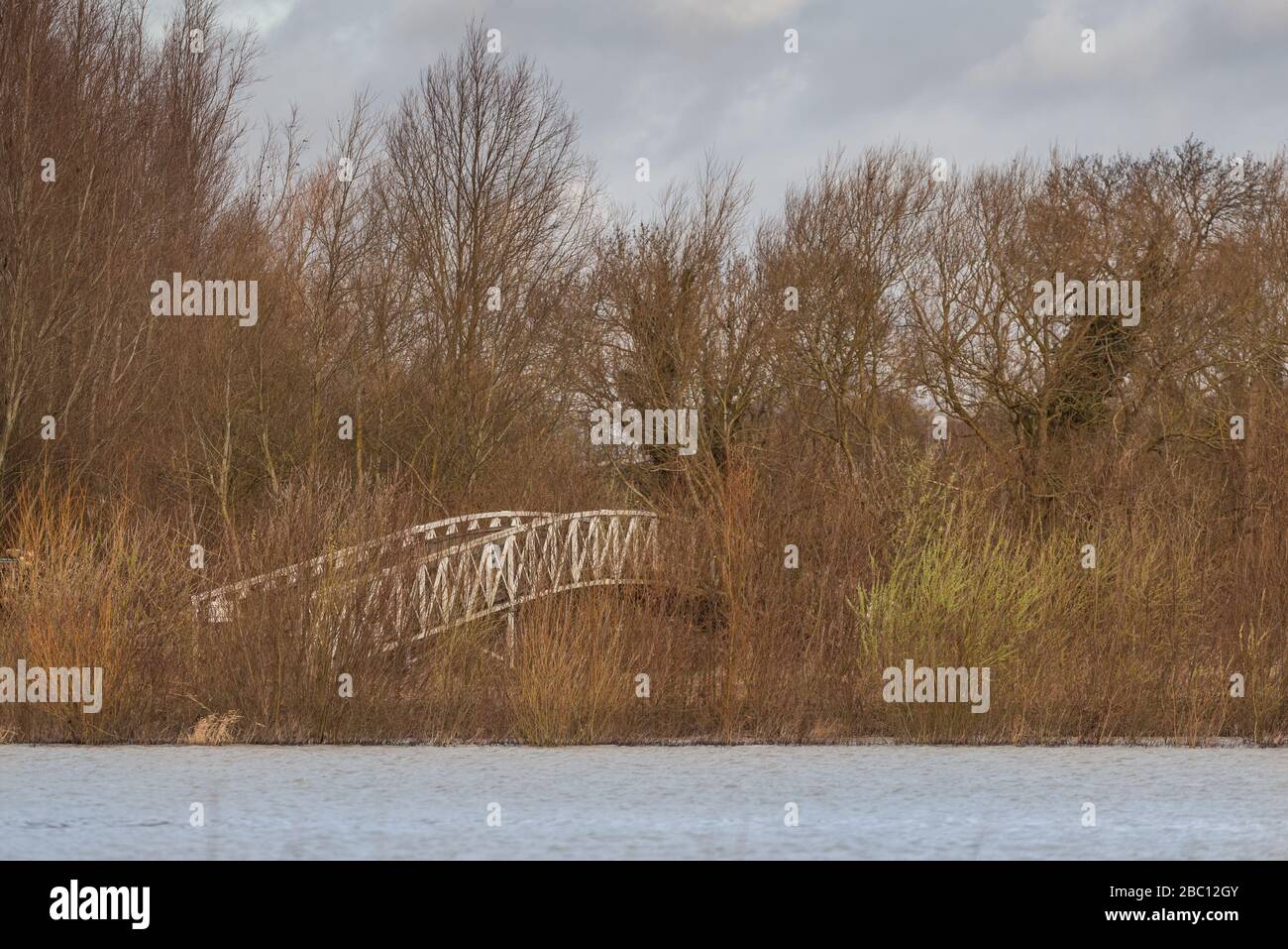 Jardin naturel avec lac en Angleterre, Royaume-Uni Banque D'Images