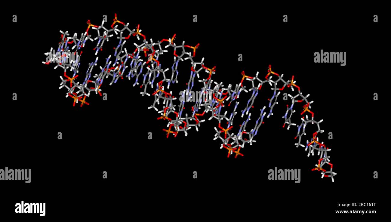 Modèle moléculaire du matériel génétique avec atomes Banque D'Images