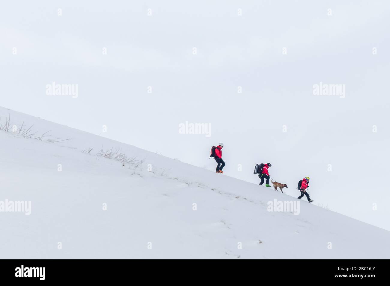 OUVRIER DE SAUVETAGE CARAVANE LND, POMPIERS EXECISE NATIONAL EN SAUVETAGE EN AVALANCHE, COL DU LAUTARET, HAUTES ALPES (05) Banque D'Images OUVRIER DE SAUVETAGE CARAVANE LND, POMPIERS EXECISE NATIONAL EN SAUVETAGE EN AVALANCHE, COL DU LAUTARET, HAUTES ALPES (05) Banque D'Images