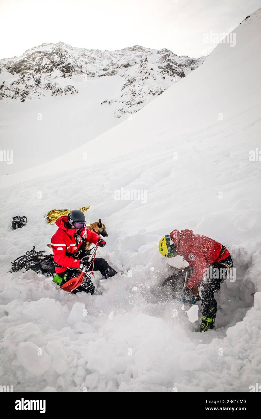 LIBÉRER UNE VICTIME ENFOUIE DANS LA NEIGE, POMPIERS EXECISE NATIONAL EN SAUVETAGE EN AVALANCHE, COL DU LAUTARET, HAUTES ALPES (05) Banque D'Images LIBÉRER UNE VICTIME ENFOUIE DANS LA NEIGE, POMPIERS EXECISE NATIONAL EN SAUVETAGE EN AVALANCHE, COL DU LAUTARET, HAUTES ALPES (05) Banque D'Images
