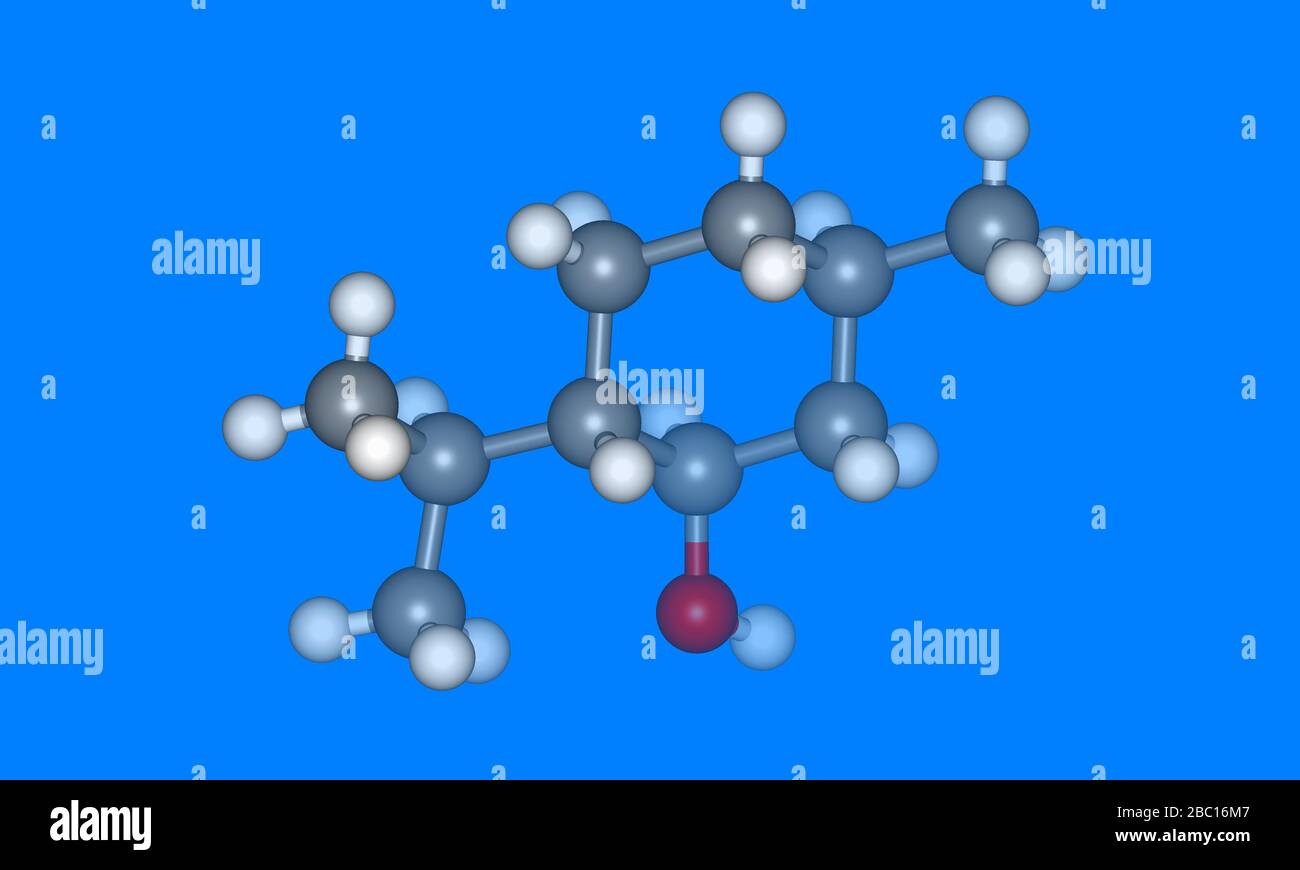 Modèle moléculaire de menthol avec atomes Banque D'Images