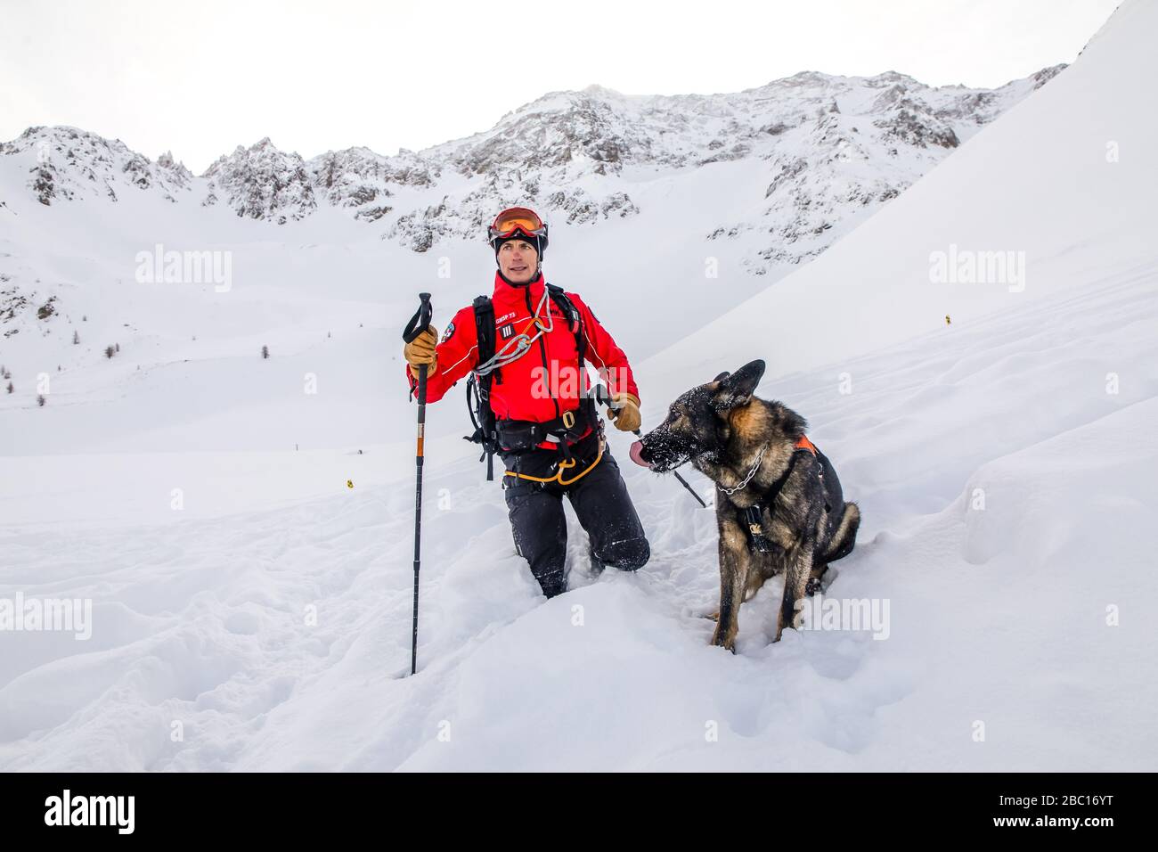 ÉQUIPE D'AVALANCHE DE CHIEN ET DE MANUTENTIONNAIRE, À LA RECHERCHE DE VISITIMS DANS UNE AVALANCHE, POMPIERS NATIONAUX EXECISE DANS LE SAUVETAGE EN AVALANCHE, COL DU LAUTARET, HAUTES ALPES (05) Banque D'Images ÉQUIPE D'AVALANCHE DE CHIEN ET DE MANUTENTIONNAIRE, À LA RECHERCHE DE VISITIMS DANS UNE AVALANCHE, POMPIERS NATIONAUX EXECISE DANS LE SAUVETAGE EN AVALANCHE, COL DU LAUTARET, HAUTES ALPES (05) Banque D'Images