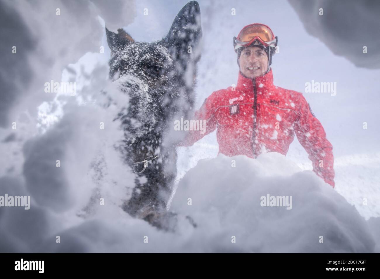 ÉQUIPE D'AVALANCHE DE CHIEN ET DE MANUTENTIONNAIRE, À LA RECHERCHE DE VISITIMS DANS UNE AVALANCHE, POMPIERS NATIONAUX EXECISE DANS LE SAUVETAGE EN AVALANCHE, COL DU LAUTARET, HAUTES ALPES (05) Banque D'Images ÉQUIPE D'AVALANCHE DE CHIEN ET DE MANUTENTIONNAIRE, À LA RECHERCHE DE VISITIMS DANS UNE AVALANCHE, POMPIERS NATIONAUX EXECISE DANS LE SAUVETAGE EN AVALANCHE, COL DU LAUTARET, HAUTES ALPES (05) Banque D'Images