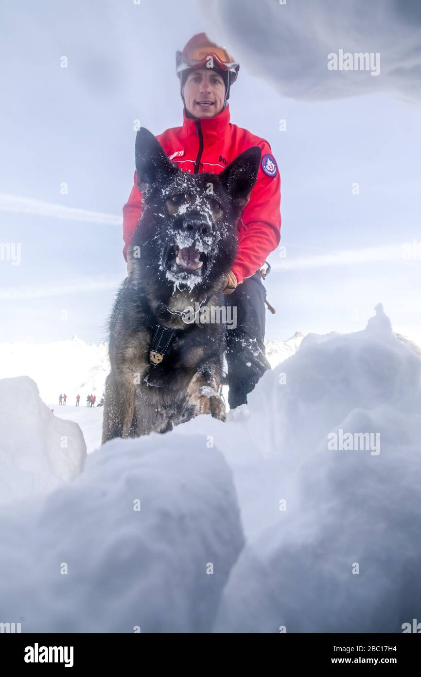 ÉQUIPE D'AVALANCHE DE CHIEN ET DE MANUTENTIONNAIRE, À LA RECHERCHE DE VISITIMS DANS UNE AVALANCHE, POMPIERS NATIONAUX EXECISE DANS LE SAUVETAGE EN AVALANCHE, COL DU LAUTARET, HAUTES ALPES (05) Banque D'Images ÉQUIPE D'AVALANCHE DE CHIEN ET DE MANUTENTIONNAIRE, À LA RECHERCHE DE VISITIMS DANS UNE AVALANCHE, POMPIERS NATIONAUX EXECISE DANS LE SAUVETAGE EN AVALANCHE, COL DU LAUTARET, HAUTES ALPES (05) Banque D'Images