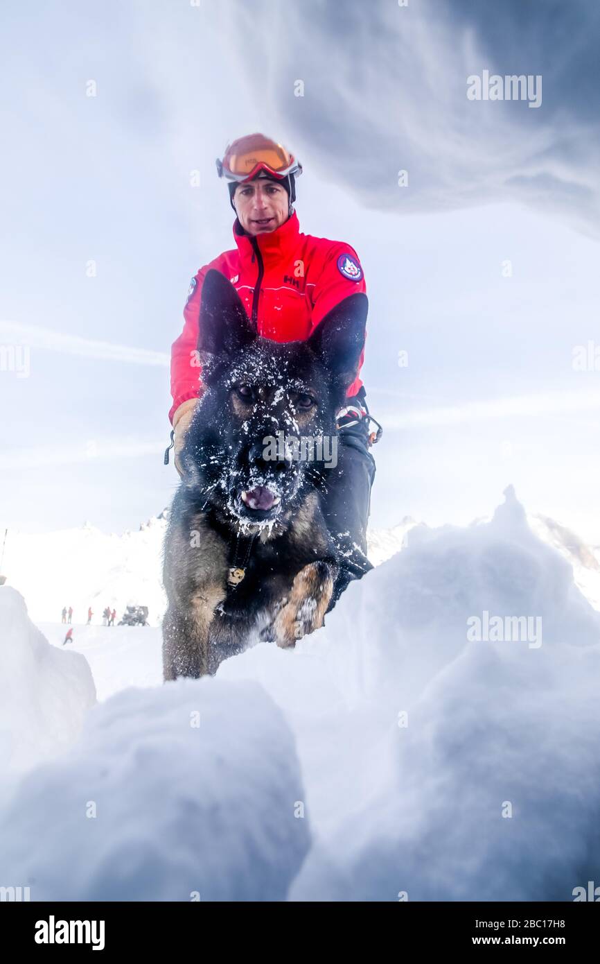 ÉQUIPE D'AVALANCHE DE CHIEN ET DE MANUTENTIONNAIRE, À LA RECHERCHE DE VISITIMS DANS UNE AVALANCHE, POMPIERS NATIONAUX EXECISE DANS LE SAUVETAGE EN AVALANCHE, COL DU LAUTARET, HAUTES ALPES (05) Banque D'Images ÉQUIPE D'AVALANCHE DE CHIEN ET DE MANUTENTIONNAIRE, À LA RECHERCHE DE VISITIMS DANS UNE AVALANCHE, POMPIERS NATIONAUX EXECISE DANS LE SAUVETAGE EN AVALANCHE, COL DU LAUTARET, HAUTES ALPES (05) Banque D'Images
