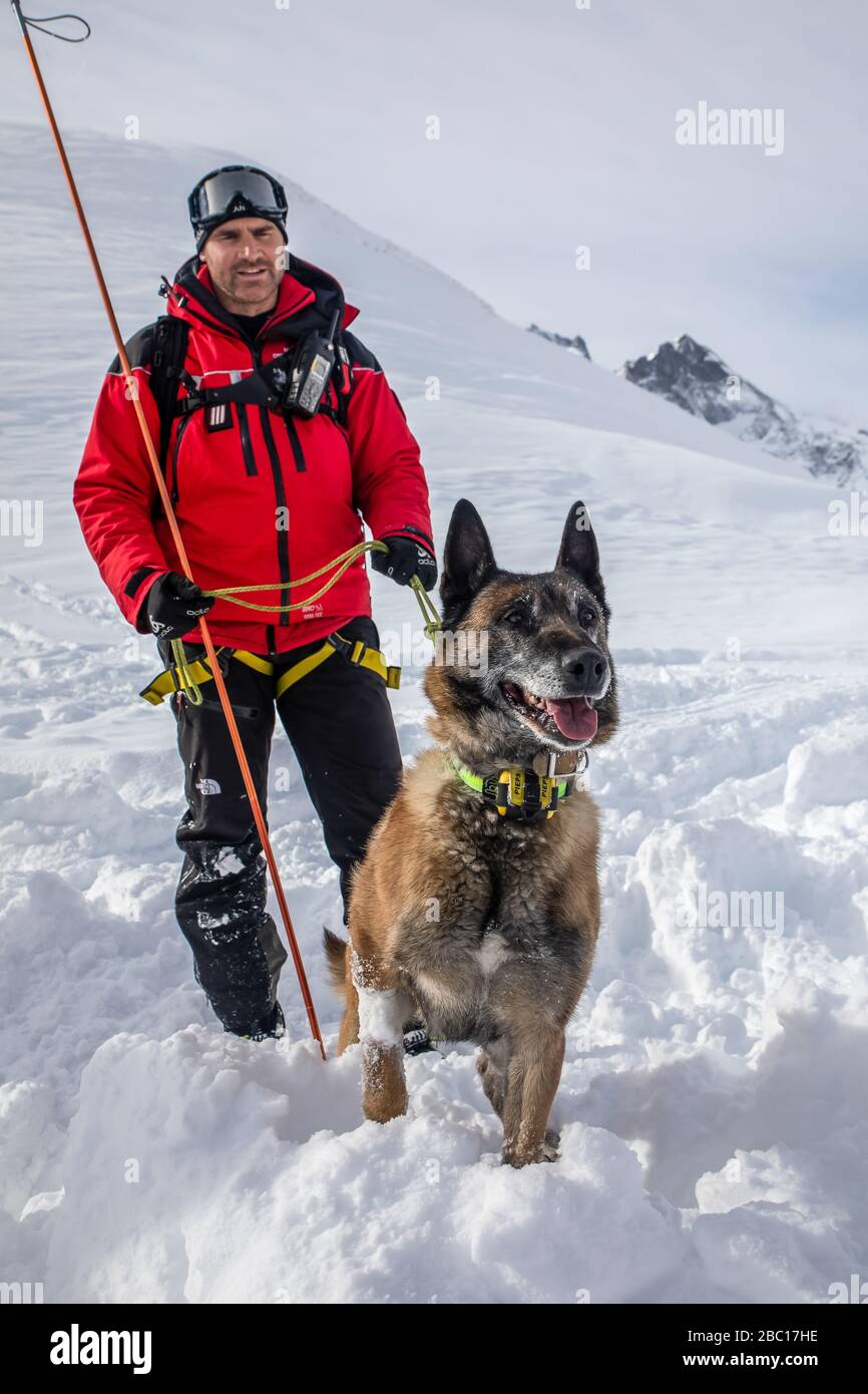 ÉQUIPE D'AVALANCHE DE CHIEN ET DE MANUTENTIONNAIRE, À LA RECHERCHE DE VISITIMS DANS UNE AVALANCHE, POMPIERS NATIONAUX EXECISE DANS LE SAUVETAGE EN AVALANCHE, COL DU LAUTARET, HAUTES ALPES (05) Banque D'Images ÉQUIPE D'AVALANCHE DE CHIEN ET DE MANUTENTIONNAIRE, À LA RECHERCHE DE VISITIMS DANS UNE AVALANCHE, POMPIERS NATIONAUX EXECISE DANS LE SAUVETAGE EN AVALANCHE, COL DU LAUTARET, HAUTES ALPES (05) Banque D'Images