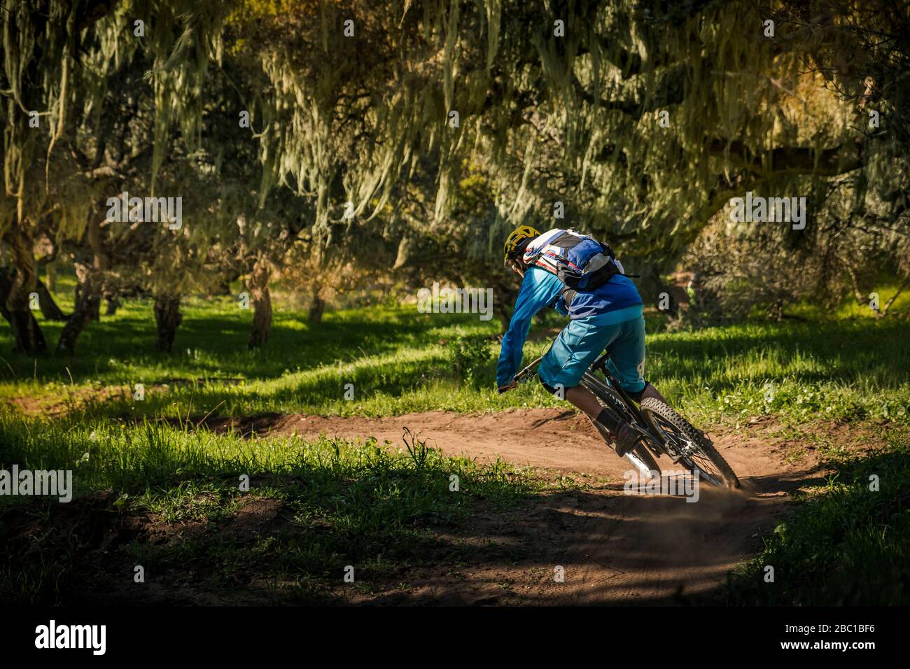Homme à vélo tout terrain sur la piste forestière, Parc National du Monument de fort Ord, Monterey, Californie, États-Unis Banque D'Images