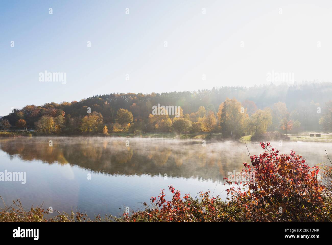 Allemagne, Rhénanie-du-Nord-Westphalie, ciel dégagé sur le lac Eiserbachsee lors du soleil d'automne Banque D'Images