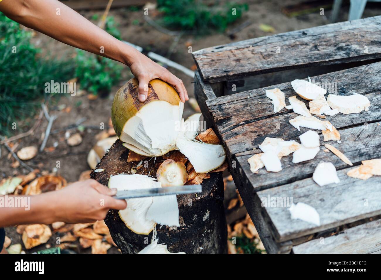 Vue sur la culture du jeune homme ouvrant la noix de coco, île Bornéo, Malaisie Banque D'Images