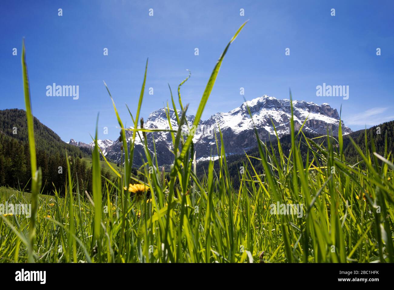Vue panoramique sur la montagne à Val Badia, Alto Adige, Italie Banque D'Images