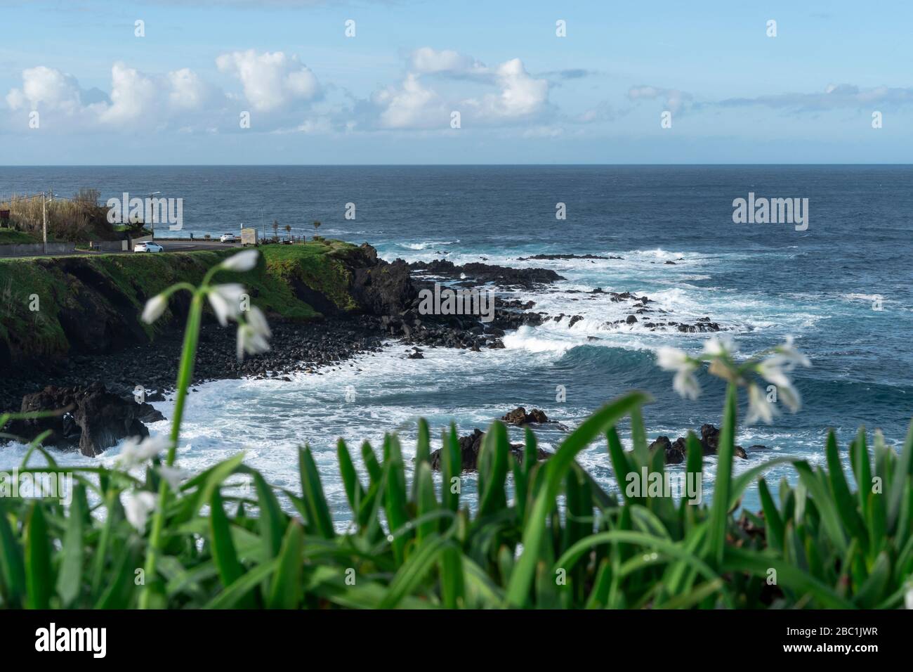 Côte rocheuse, île de Sao Miguel, Açores, Portugal Banque D'Images