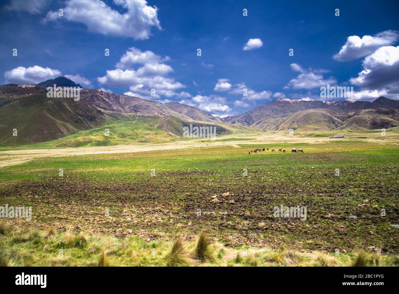 De beaux paysages sur la route entre Puno et Cosco , le Pérou. L'Amérique du Sud. Banque D'Images