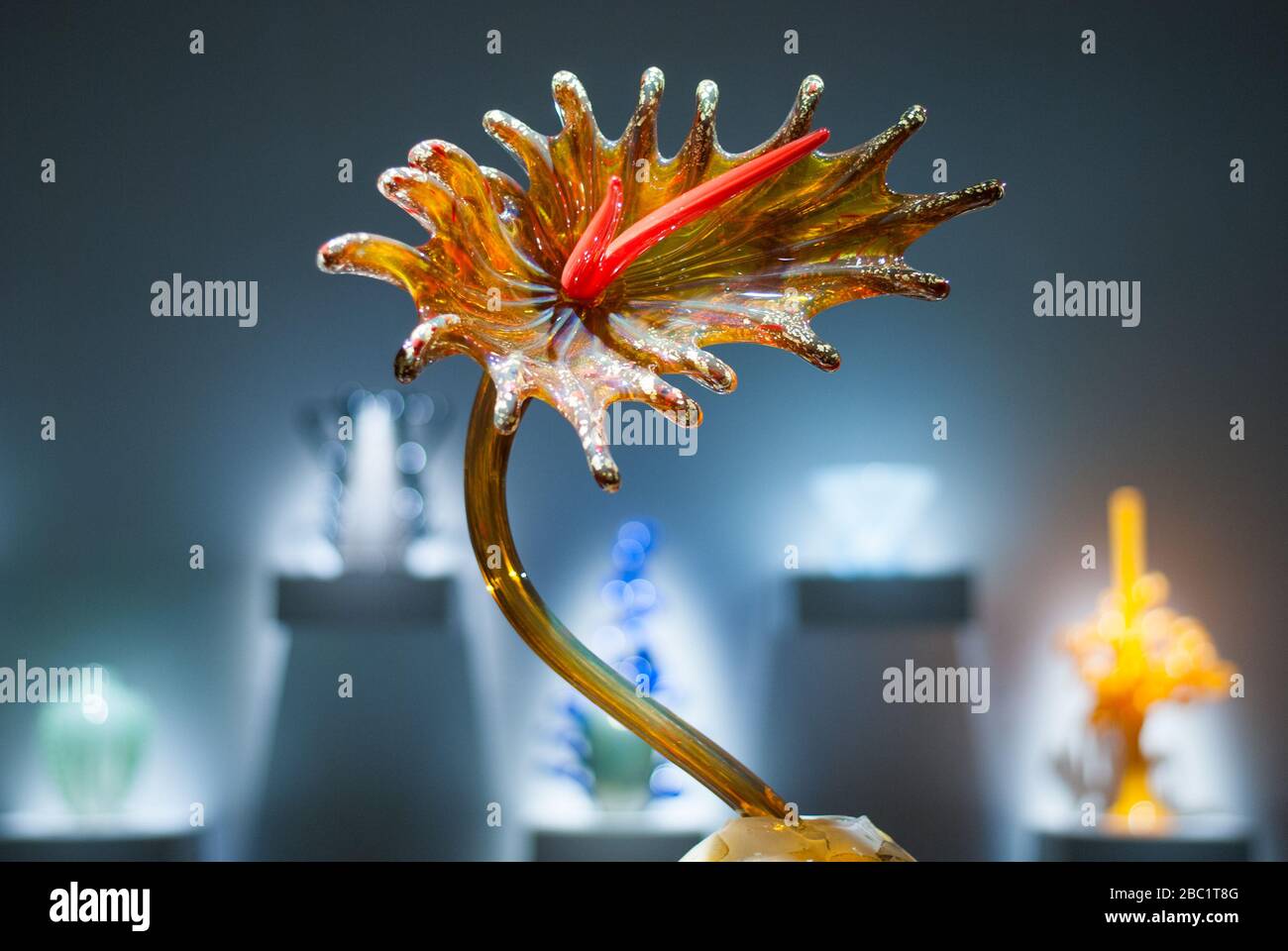 Orange Flower Dale Chihuly coloré lumineux événement automne 2019 réflexions sur la nature à Kew Gardens, Richmond, Londres, TW9 3 AE Banque D'Images