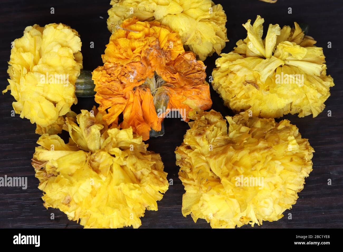 Marigold Flower rangoli Design for Ugadi Festival Banque D'Images
