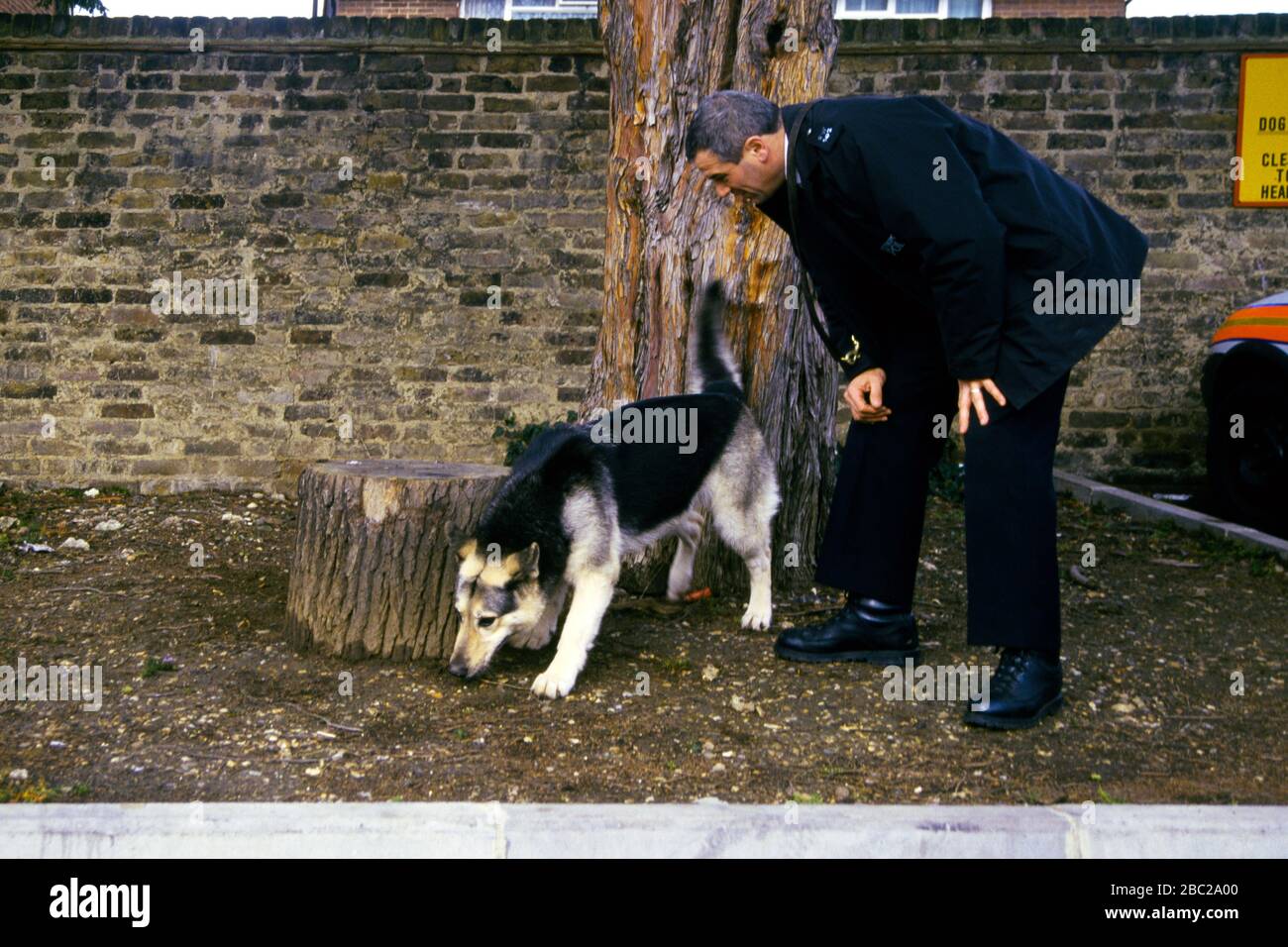 Policier et chien Sniffer Banque D'Images