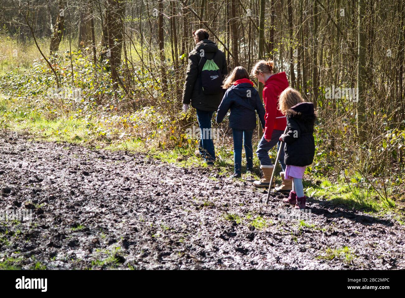 Mère / maman / maman marchant à travers la boue avec ses trois enfants lors d'une journée de printemps sur un chemin boueux à travers les bois sur le West End Common, Esher, Surrey. ROYAUME-UNI (116) Banque D'Images