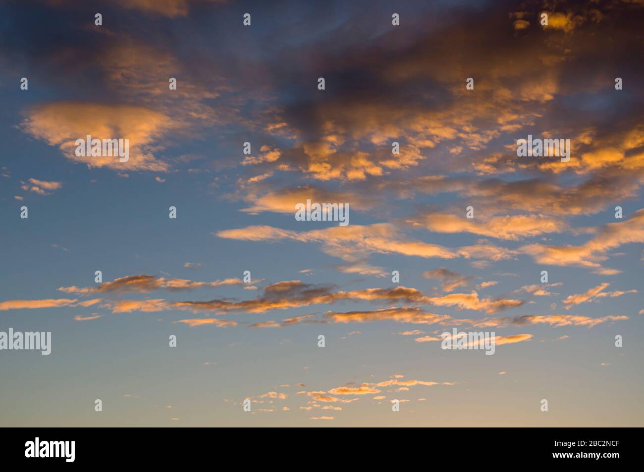 Ciel nuageux spectaculaire avec nuages de pluie sombre et nuages lumineux illuminés par le soleil bas, brillant dans la soirée brille avant et après un orage dans Banque D'Images