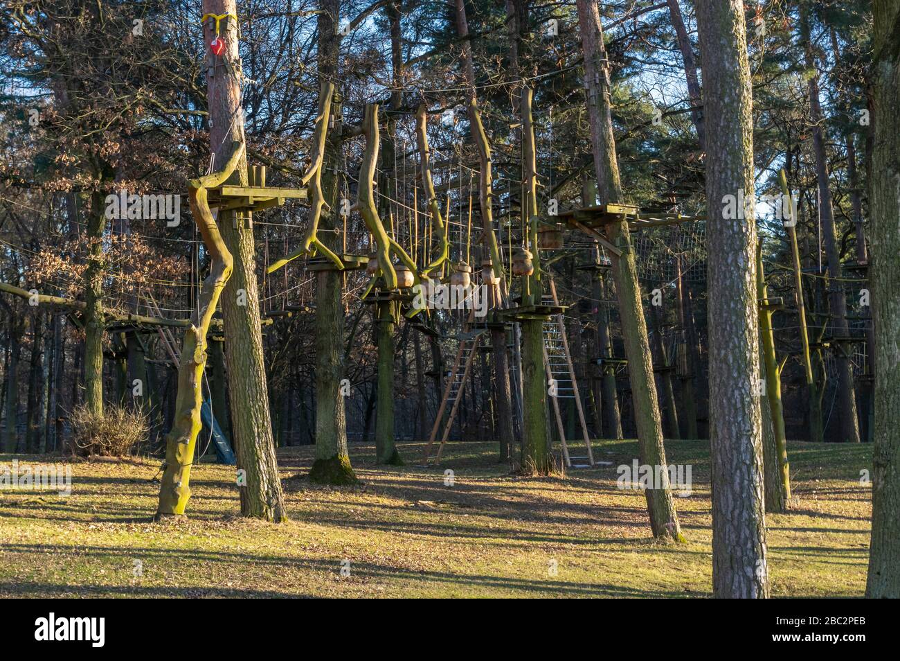 Jardin d'escalade, parcours de cordes dans la forêt avec divers éléments d'escalade et cordes de sécurité entre les arbres individuels et les bancs pour se reposer Banque D'Images