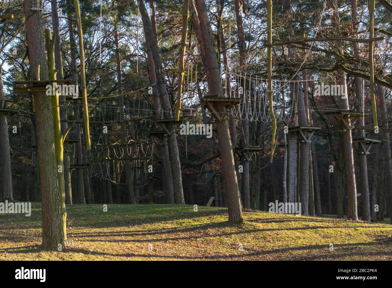 Jardin d'escalade, parcours de cordes dans la forêt avec divers éléments d'escalade et cordes de sécurité entre les arbres individuels et les bancs pour se reposer Banque D'Images