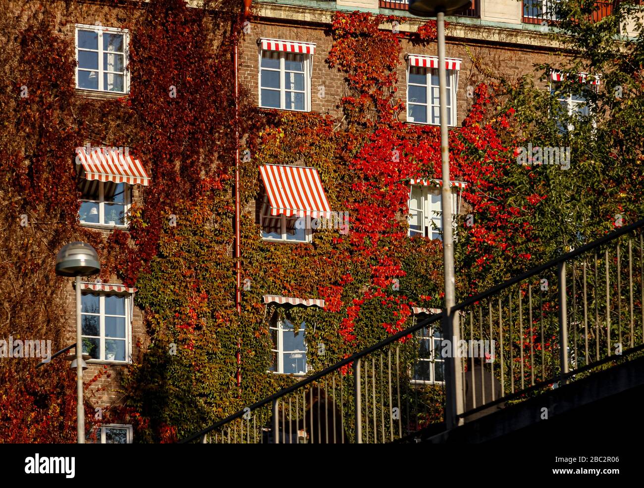 Stockholm, Suède. 23 octobre 2011. Crédit: ABEL F. ROS/Alay Banque D'Images