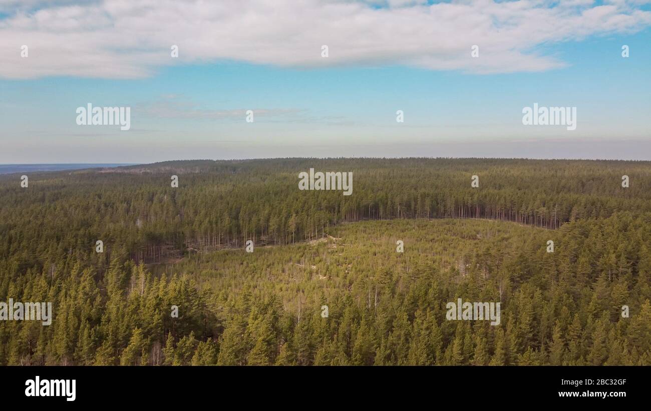 Vue aérienne de la rivière Vuoksi, de la forêt et de la colonie en automne, Losevo, Oblast de Leningrad, Russie Banque D'Images