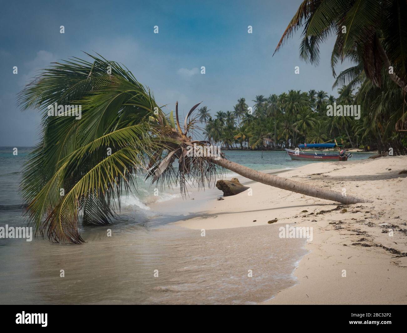 Un palmier solo s'accroche au doux surf sur une île des caraïbes au large du Panama. Un petit bateau de pêche repose à la distance sur le sable blanc. Banque D'Images