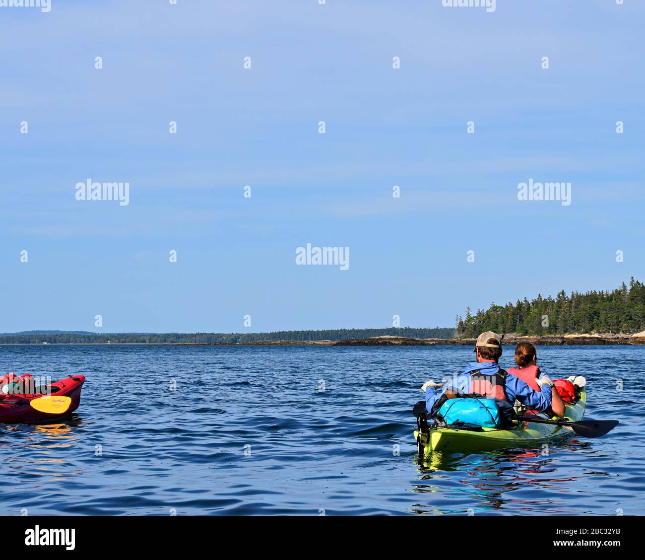 Des kayakistes en tandem au large de la côte Atlantique de Bar Harbour, près du parc national Acadia dans le Maine, lors d'une visite de la faune et de la flore, en admirant les phoques du port et d'autres animaux. Banque D'Images