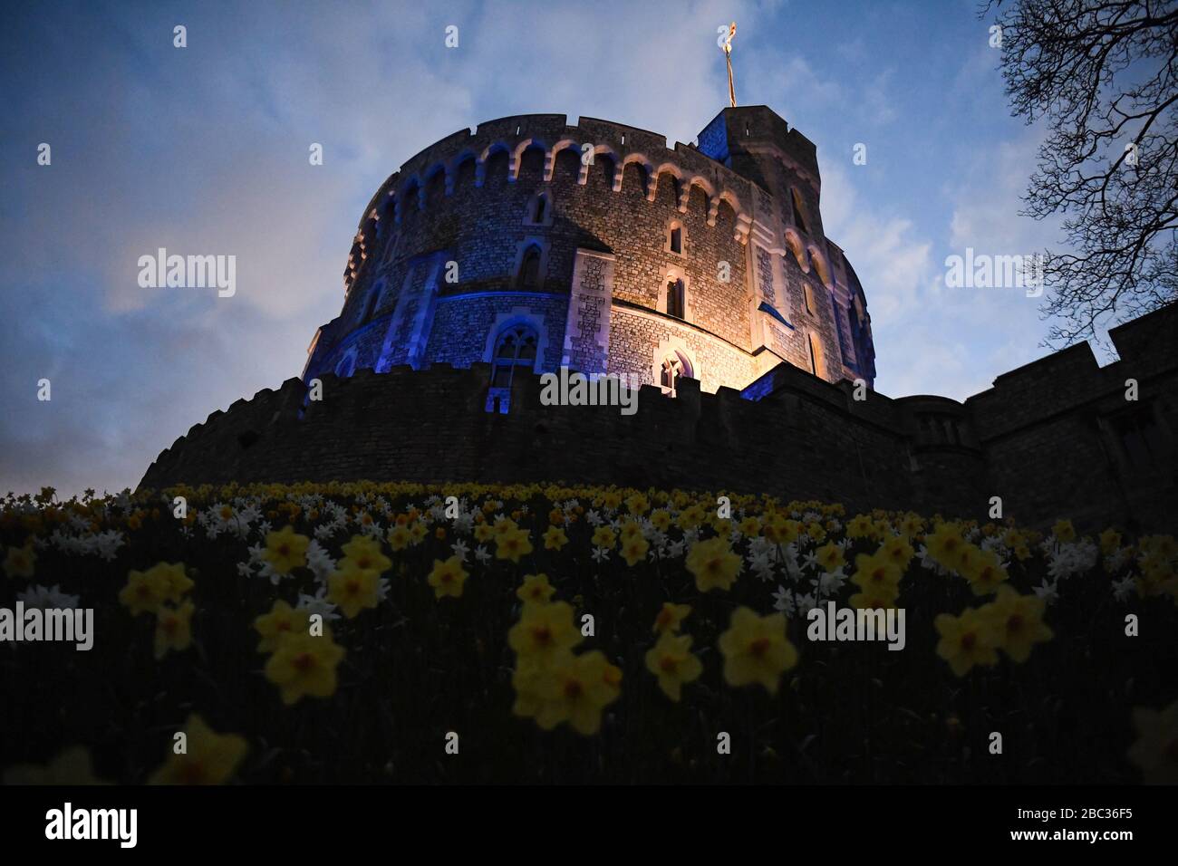 Le château de Windsor est devenu bleu pour saluer les héros locaux dans le cadre de l'initiative nationale de jeudi de Clap for Carers NHS visant à applaudir les travailleurs du NHS qui luttent contre la pandémie de coronavirus lorsque des sites touristiques du Royaume-Uni seront éclairés en bleu. Banque D'Images