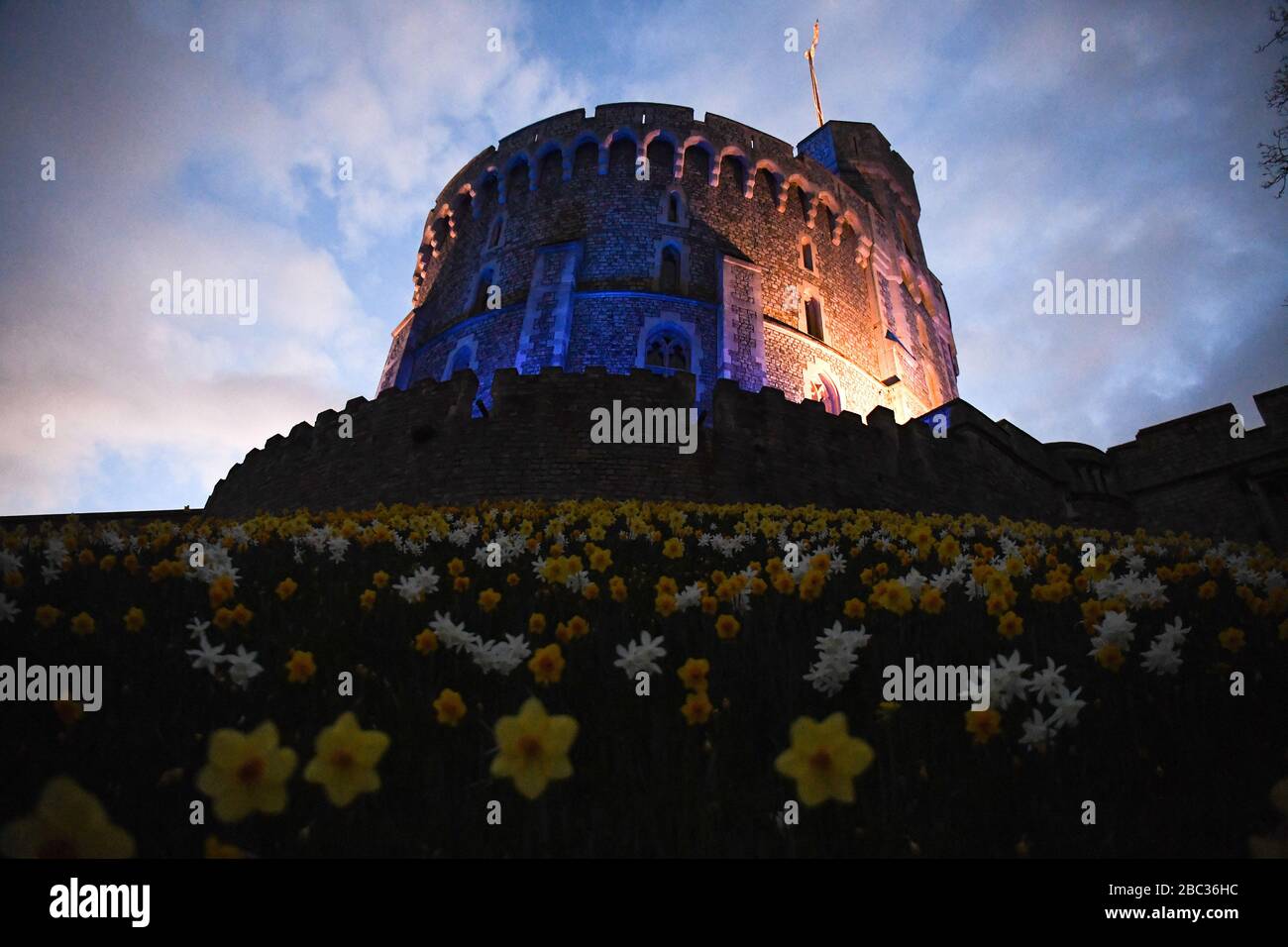 Le château de Windsor est devenu bleu pour saluer les héros locaux dans le cadre de l'initiative nationale de jeudi de Clap for Carers NHS visant à applaudir les travailleurs du NHS qui luttent contre la pandémie de coronavirus lorsque des sites touristiques du Royaume-Uni seront éclairés en bleu. Banque D'Images