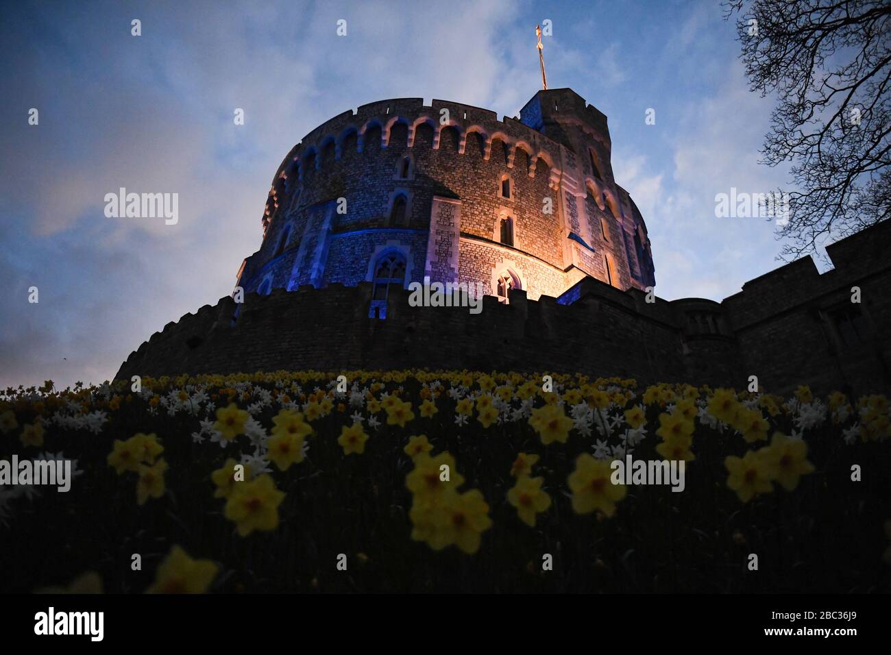 Le château de Windsor est devenu bleu pour saluer les héros locaux dans le cadre de l'initiative nationale de jeudi de Clap for Carers NHS visant à applaudir les travailleurs du NHS qui luttent contre la pandémie de coronavirus lorsque des sites touristiques du Royaume-Uni seront éclairés en bleu. Banque D'Images