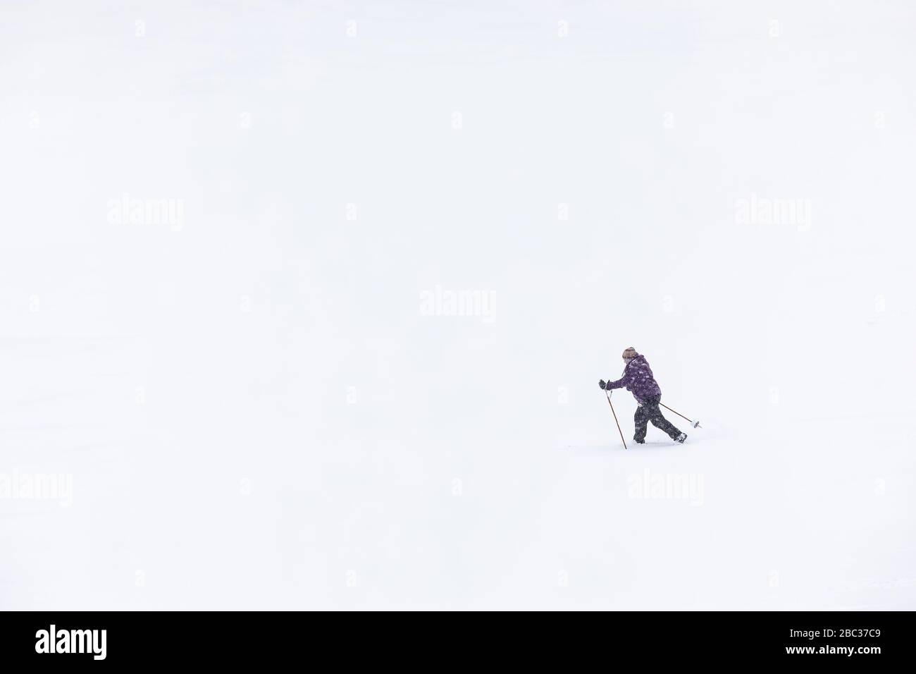 Karen Rentz ski de fond une journée d'hiver sur un parcours de golf dans les lacs canadiens, Michigan, États-Unis Banque D'Images